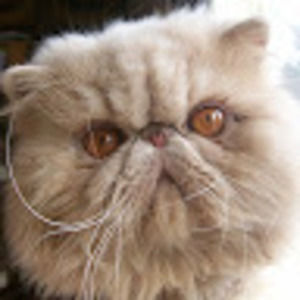 Meet your Posher, Debra